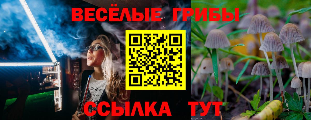 Псилоцибиновые грибы GOLDEN TEACHER  Вход с VPN  Светлоград  Псилоцибиновые грибы Psilocybe 