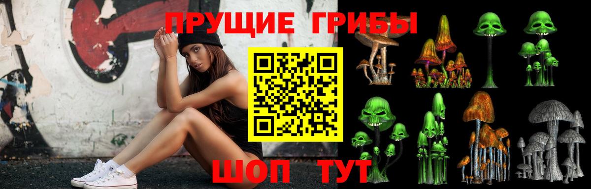 Галлюциногенные грибы Cubensis Светлоград